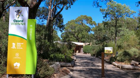 Cleland Wildlife Park Experience Australia Activities In Australia