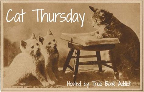 true book addict books cats and more cat thursday moving with cats