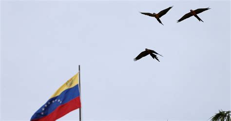 Us Removes Nephew Of Venezuelas First Lady From Sanctions List Reuters