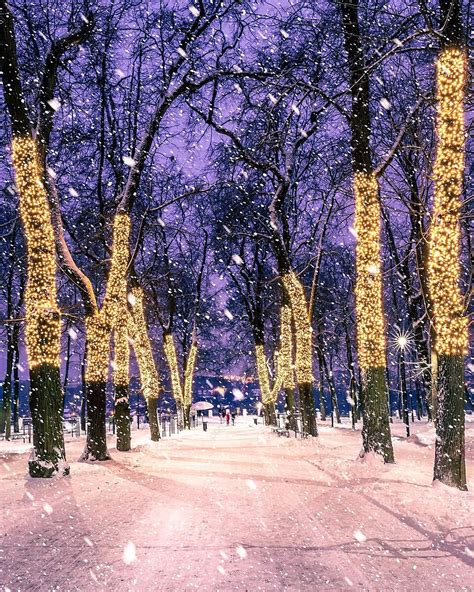 Fond Parc De Nuit Dhiver Orné De Lumières De Noël Et De Neige Photo Et