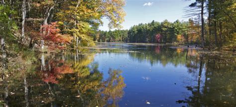 Check fish species, best fishing lures and baits and see comments by other ma fish finder users. 11 Amazing Massachusetts Lakes To Visit This Summer