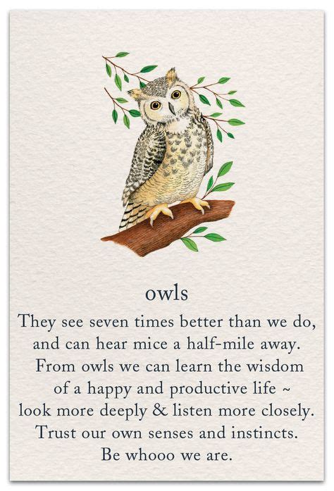 460 Owl Quotes Ideas Owl Quotes Owl Owl Always Love You