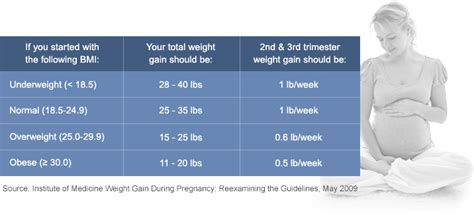 How Much Weight Gain Each Week Pregnancy Pregnancywalls