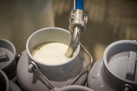 Domestic Milk Intake Behind 2021 Levels Agrilandie 必威客户端