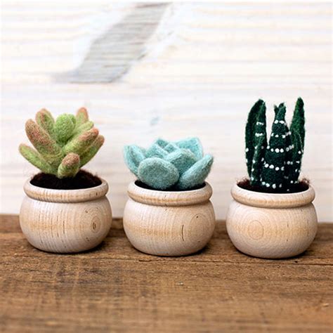 Sculpting With Wool Needle Felting Kit Succulents