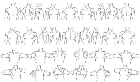 Deviantart is the world's largest online social community for artists and art enthusiasts, allowing people to connect through the. Anatomi Gövde 2 / Anatomy Torso 2 - "Male Torso Rotation ...