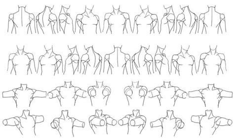 See more ideas about anatomy, anatomy reference, man anatomy. Anatomi Gövde 2 / Anatomy Torso 2 - "Male Torso Rotation ...
