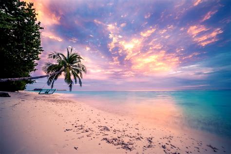 See more ideas about beach wallpaper, summer wallpaper, aesthetic wallpapers. Tropical Beach Sunset Wallpaper And Background Image ...