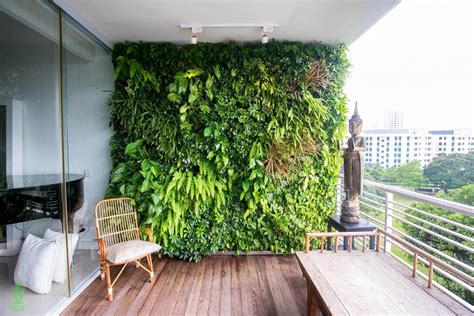 Which Green Wall Plant Is For You Vertical Green