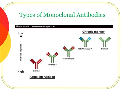 What drugs or other compounds interact with monoclonal antibodies? Monoclonal antibodies and gene therpy