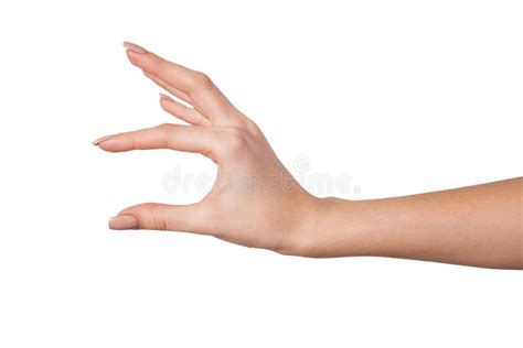 534 Female Hand Reaching Something White Stock Photos Free And Royalty
