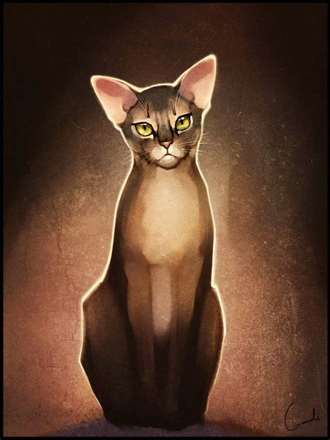 Diana My Abyssinian Cat By Gaudibuendia On Deviantart