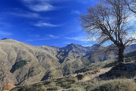 10 Things To Know Before Visiting Spains Sierra Nevada Natural Park