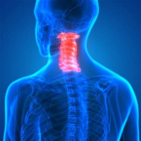 Sports Medicine Cervical Spine Injury