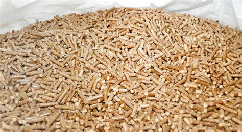 A small, solid or densely packed ball or mass, as of food, wax, or medicine. Wood Pellet - BIOENECO