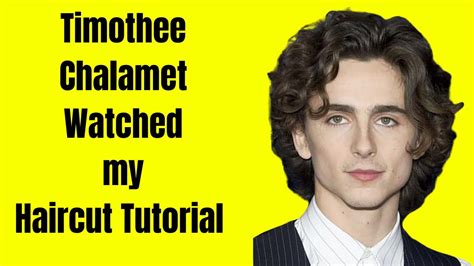 Timothee Chalamet Watches My Haircut Tutorial Of His Hair Thesalonguy