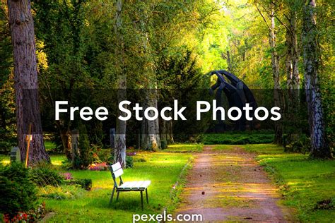 1000 Beautiful Natural Photos Pexels · Free Stock Photos