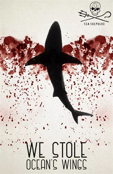 拯救鲨鱼海报鲨鱼海报保护鲨鱼海报大山谷图库