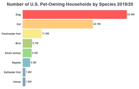 Pet Adoption Statistics 2021 Rates Of Dog And Cat Adoptions