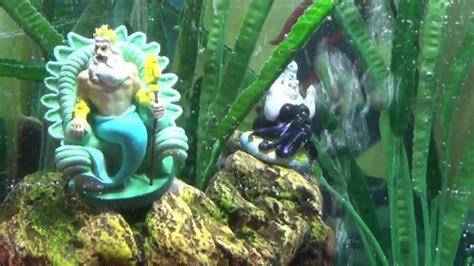 Little Mermaid Custom Aquarium Youtube