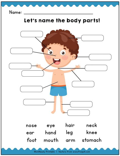 Labelling Body Parts Worksheet