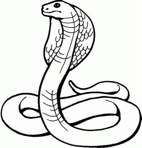 20 Free Printable Snake Coloring Pages