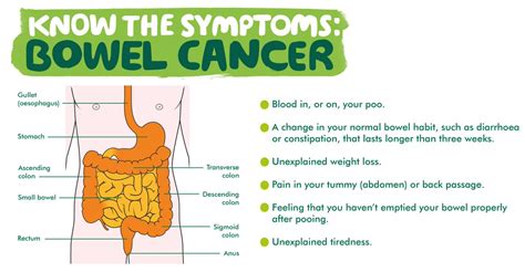 What Are The Symptoms Of Bowel Cancer And Where To Get Help