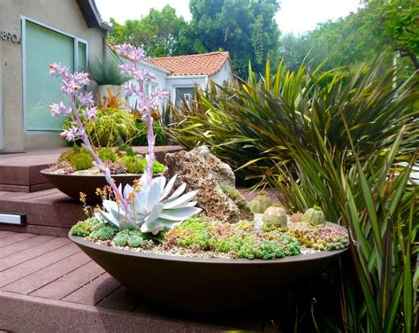 20 Succulent Container Garden Designs Ideas Design