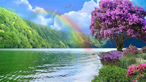 Rainbow Over Spring Lake