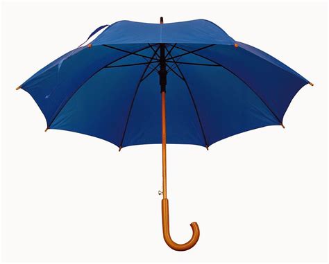 Kisah Pemakaian Payung di Berbagai Negara ~ Ruana Sagita