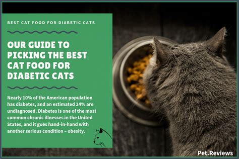 We're all humans and we all have fairly similar nutritional needs. 10 Best Cat Foods for Shedding (Hair loss) and Dandruff in ...