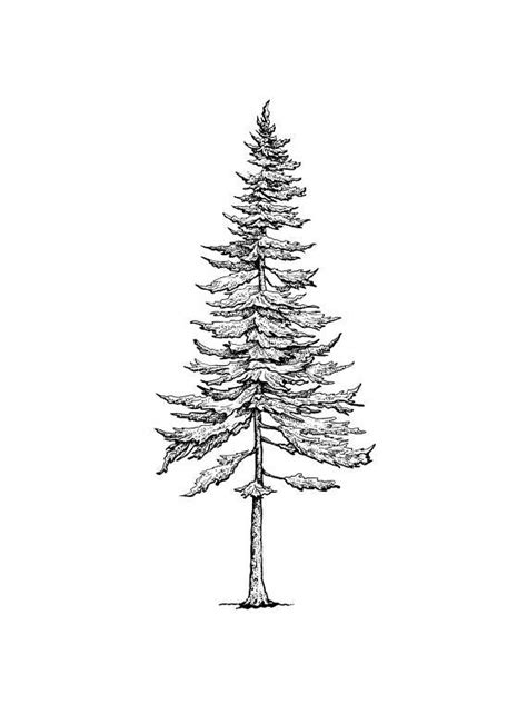 This Item Is Unavailable Etsy Pine Tree Tattoo Pine Tree Drawing