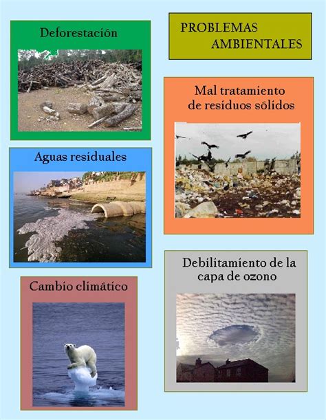 Ejemplos De Problemas Ambientales En La Escuela Kulturaupice