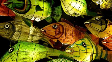 Pin By Ren Blue On Lanterns Fish Lanterns Paper Fish Paper Lanterns