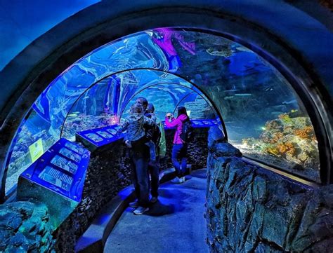 Best Things To Do In Sea Life Aquarium Munich