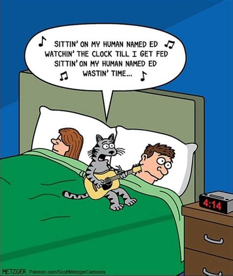 Cat Jokes Cartoon Jokes Animal Jokes Funny Animal Memes Funny Cat