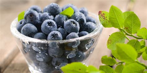 We did not find results for: Unduh 67+ Gambar Buah Buahan Warna Biru Paling Bagus Gratis