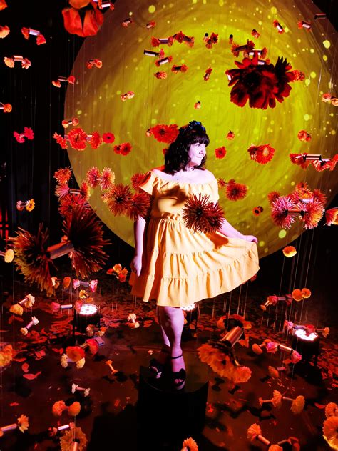 About — pursuit of art