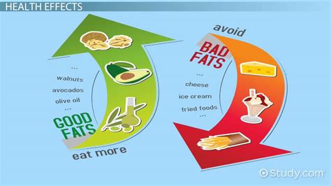 Cis Vs Trans Fatty Acids Differences Structure And Chemical Video And Lesson Transcript