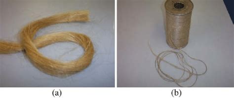 a bundle of long flax fibres and b pre yarn made from long flax download scientific diagram