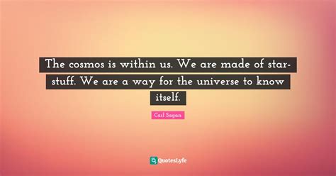 The Cosmos Is Within Us We Are Made Of Star Stuff We Are A Way For T