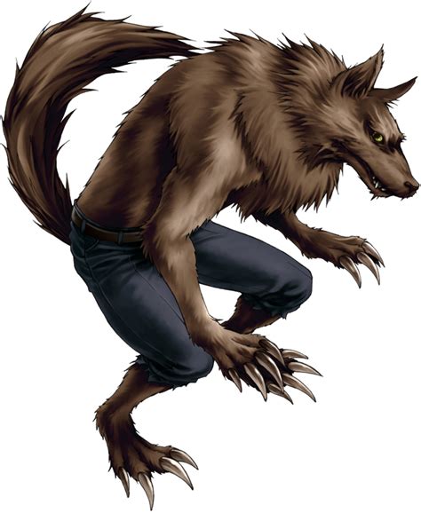 Werewolf Png Transparent Image Download Size 655x800px