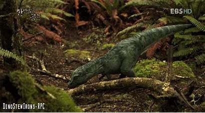 Dinosaur Animated Dinosaurs Forest Animals Hire Dino