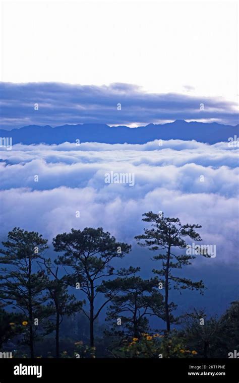 A Thick Blanket Of Fog Rolls Over The Cordillera Central Or Cordillera