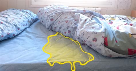 How To Get Pee Out Of A Mattress The Definitive Guide