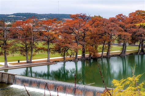 Kerrville Tx Weather In January