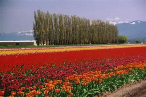 Here Is One Of The Most Beautiful And Productive Agricultural Areas In