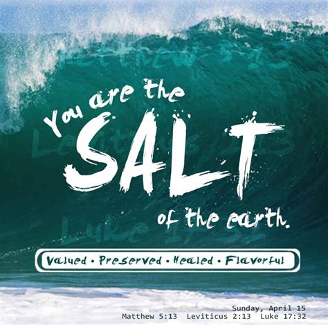 Sunday Sermon Verse You Are The Salt Of The Earth United Faith Church