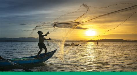 La Pesca Mexicana Una Actividad Inmensa Como El Mar