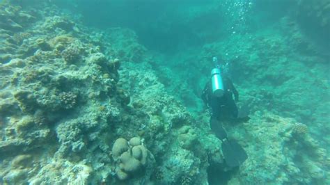 Okinawa Japan Scuba Diving Maeda Point Youtube
